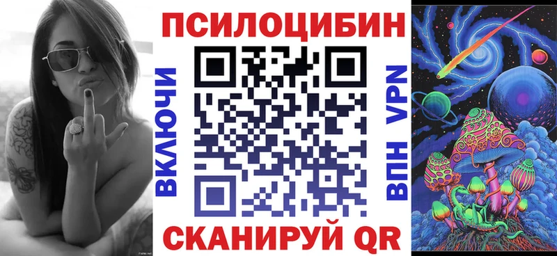 Псилоцибиновые грибы Psilocybe  блэк спрут сайт  Шахунья 